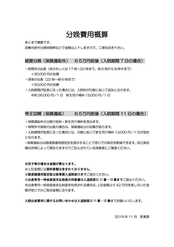 日本医科大学付属武蔵小杉病院で妊婦検診はどうだった コロナ禍妊婦のレビューです Diary